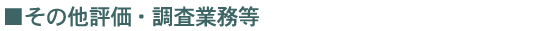 その他評価・調査業務