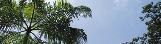 あい総合研究所