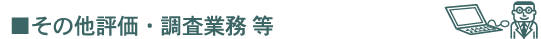 その他評価・調査業務