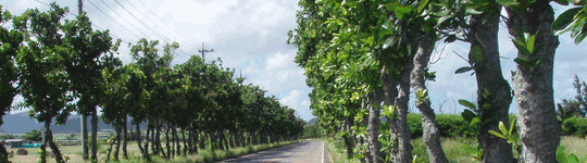 あい総合研究所